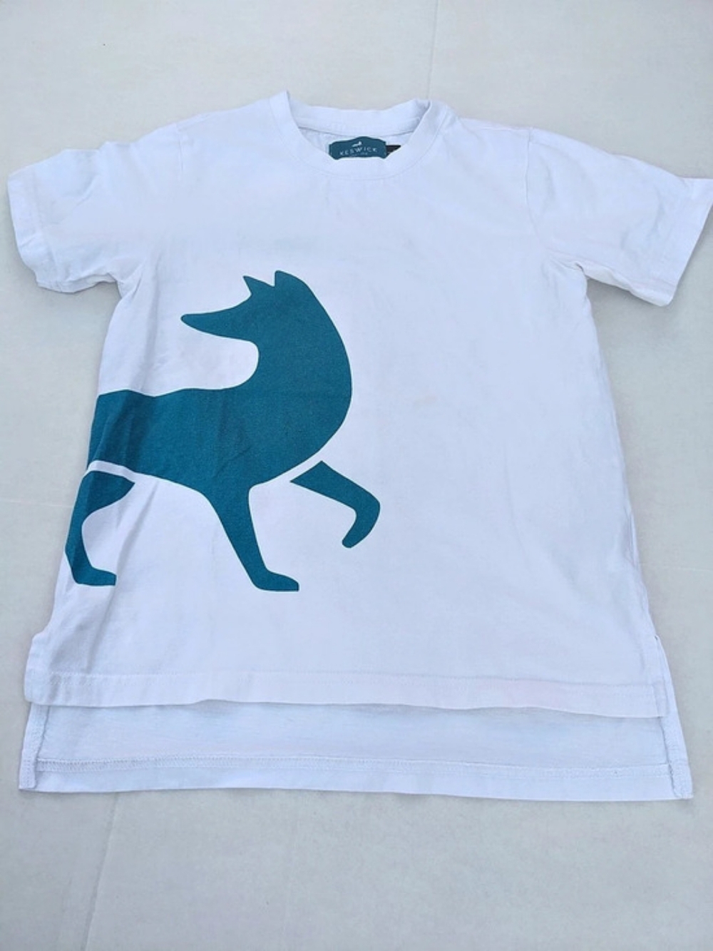 Kyeswick Dinosaur Graphic Tee Boys Large White Blue